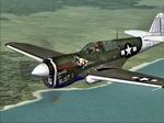 CFS2
            Curtiss P-40N v.2 textures only: P-40N-5CU 1st Lt.Jack A.Fenimore,
            7thFS 49FG